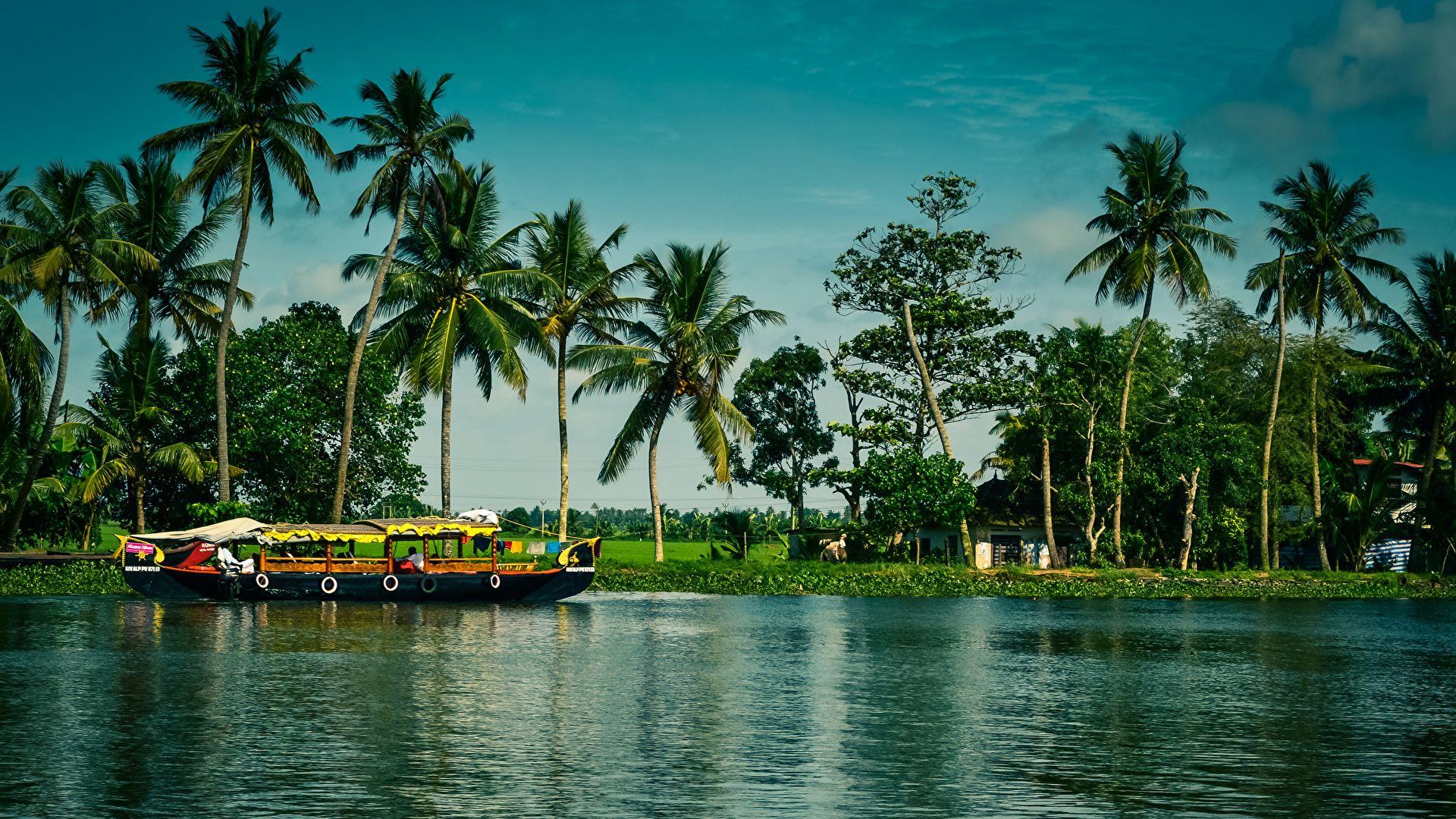 Wayanad & Kerala Explorer – 7N8D